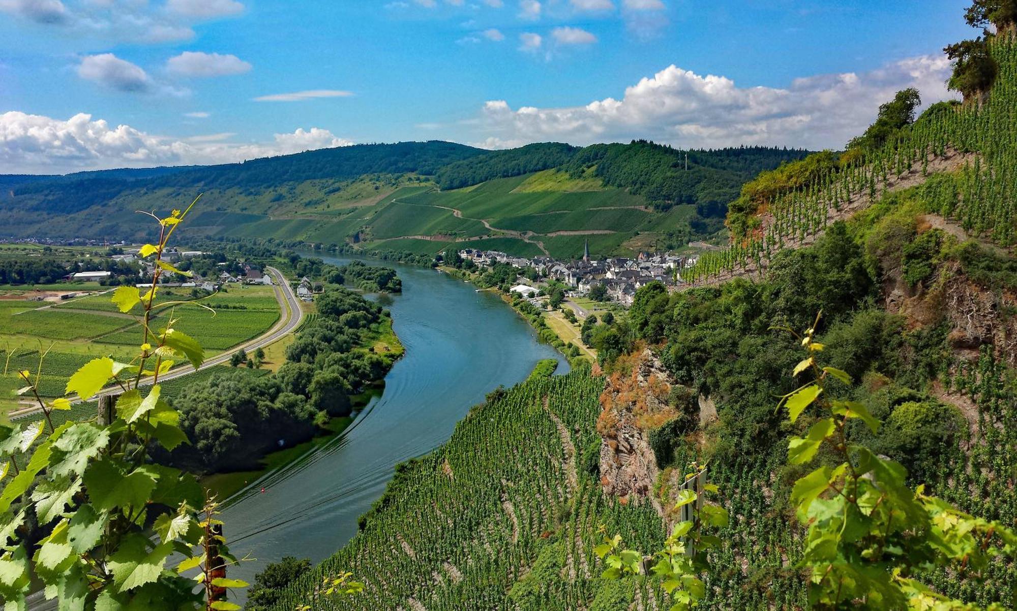 Weingut / Gaestehaus Gerlach Ürzig Exterior foto